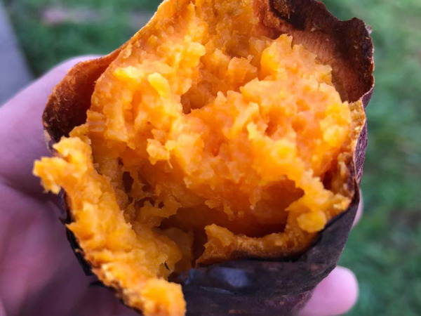 やきいもきりくち