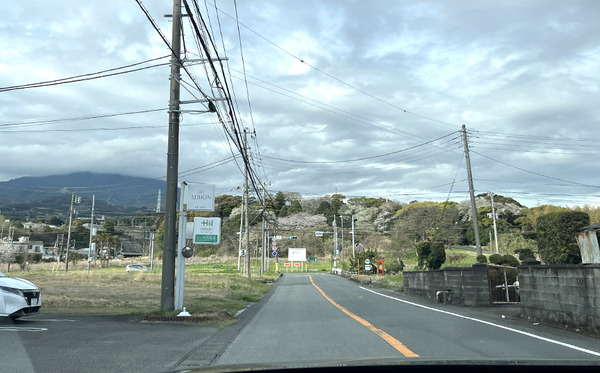 koukoku (12)