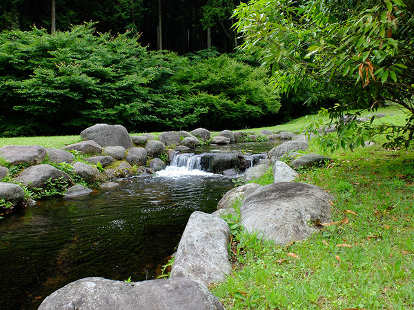 suisei (6)