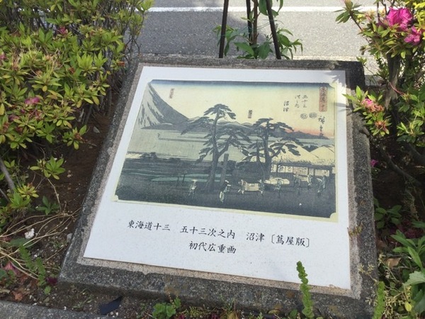 1C91C86D-04DC-4BB9-AF41-7BAD9CA5CD0D