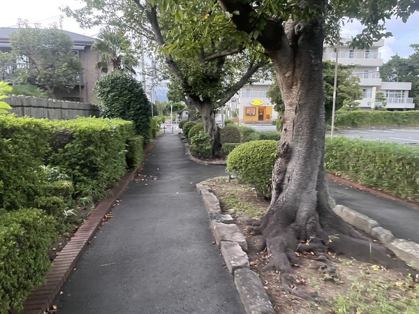 E5E626F1-3C77-42E8-AB2E-3BE89552FB0F