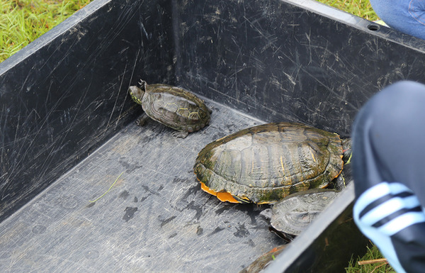 plaza (2)