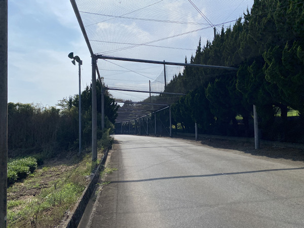winding (3)
