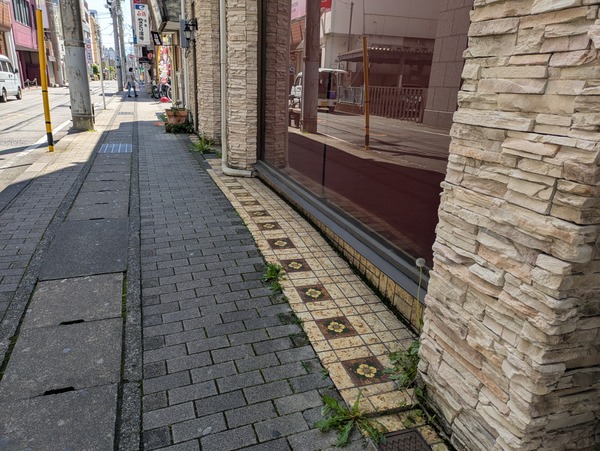 PXL_20250429_005556469