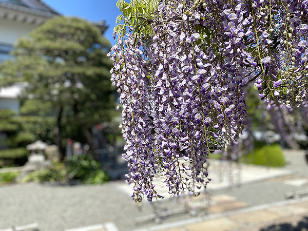 tokugen (12)