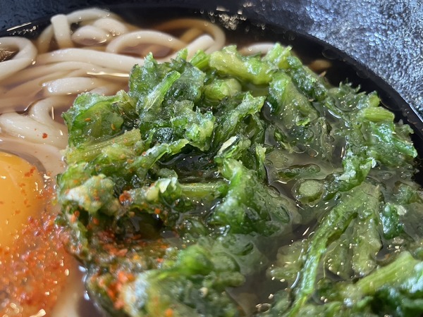 C4D2781B-9D7A-4A20-BEE0-C163CA9BB16F