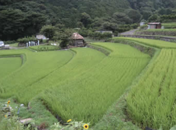 スクリーンショット 2020-12-05 18.25.44