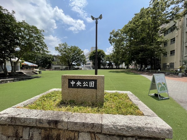 gomihiroi (2)