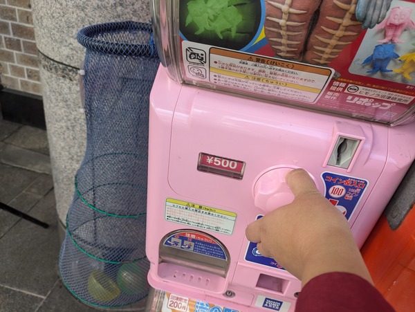 PXL_20241104_052357427