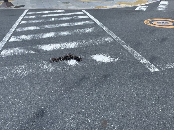 1745F68A-6B89-4FAA-9BF6-7AF4275D0B1D