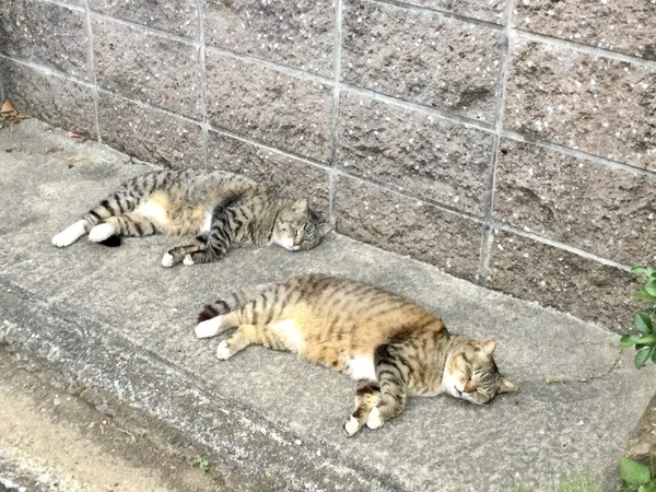 30CF2EA0-4F73-4331-B8E4-7BEABEBB175E