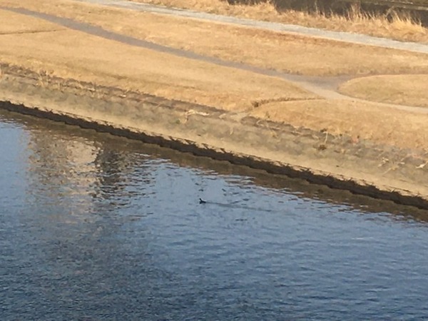 665E8616-FDE7-4461-A6F0-E5B813424336