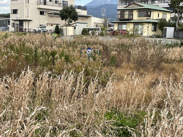 3AD85BEF-8D69-44F3-B562-68265B5A69E6