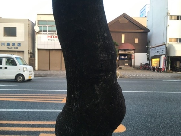 085EDBB5-2977-4A4C-A603-8E366FF0FBB2