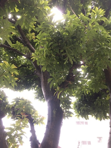 D2FB46A3-BBB1-44B4-ADF9-C5727AB6029B