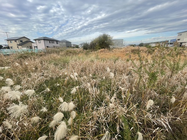 24B1608D-6D40-4413-A57A-4DD837D6F44B