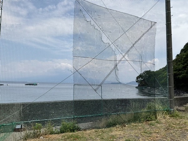 831A161E-391D-45CA-954C-4D58FECFA31D