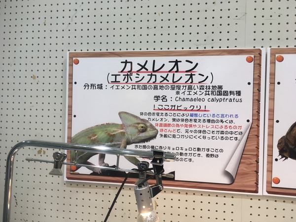 855C92D9-CA65-49E9-992F-076E8EA5D1CD