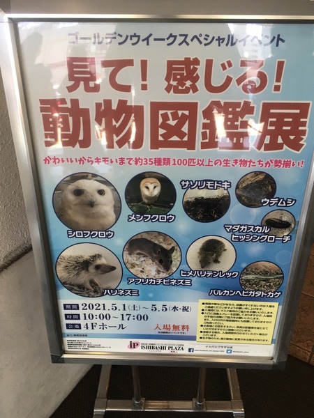 2AF319D2-6C62-47DC-864A-3C33396AC801