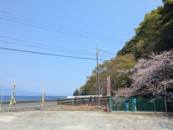PXL_20260329_022238090