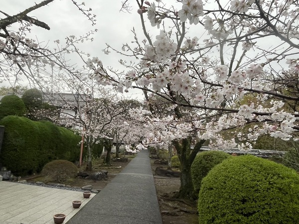 54A3AA90-4BD8-4081-9333-64D0F5EC035F