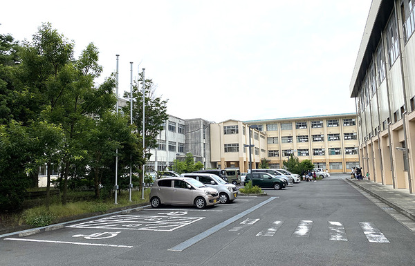 dai3 (7)