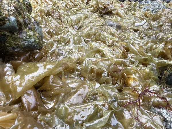 2B43F9FE-D2E2-408B-A5A1-5AAFF98D934A