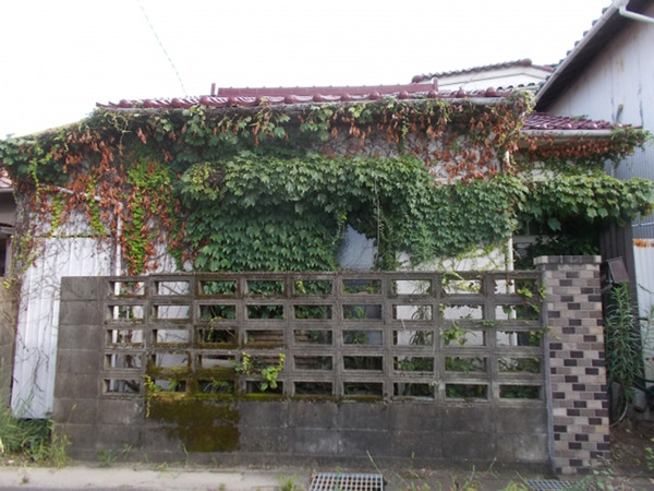akiya002