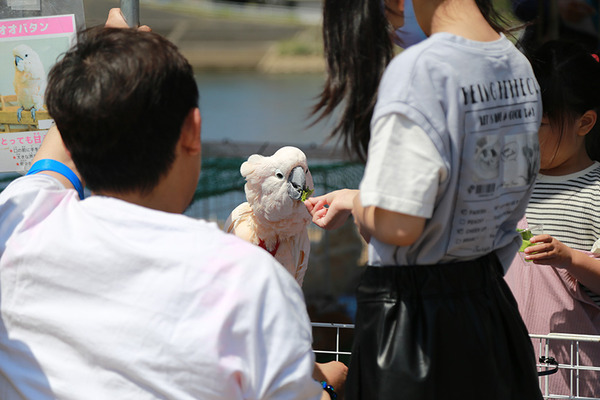 Koinoboring (2)