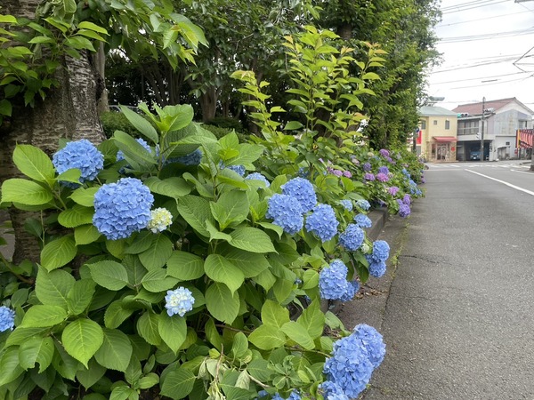 6499EF51-3F5A-4CB3-A2A9-663AE196511A