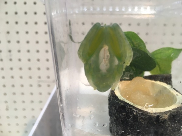 0FBC03C6-0CD6-4F55-8E56-0BFBB0791806