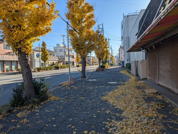PXL_20241222_000401301