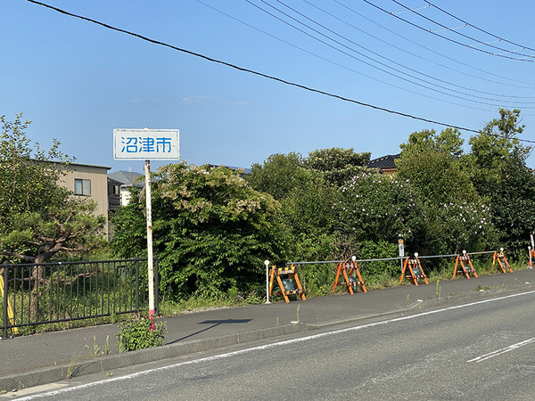 shizakai (7)