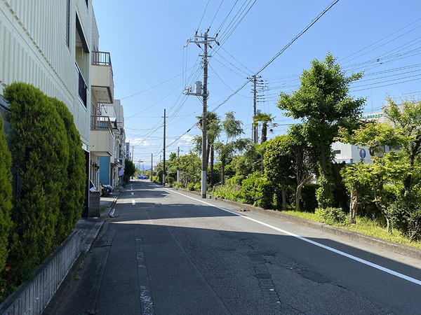 unagii (5)