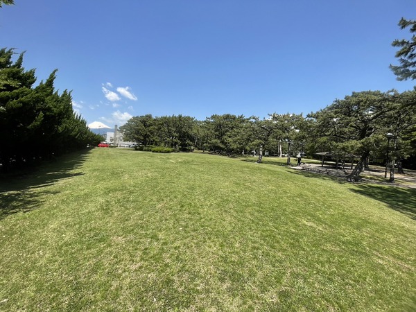 B022598A-8BFA-49C0-A72F-8D2F385B7474