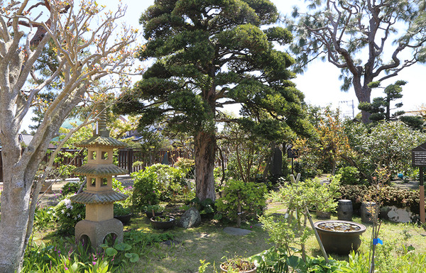 taisho04