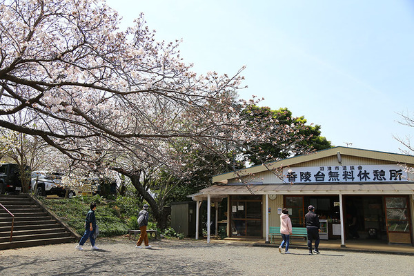 subako (2)