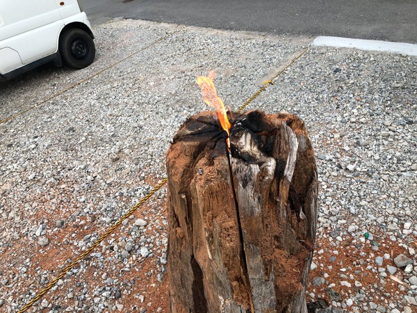 194458665_145801667597495_8906882540063934958_n