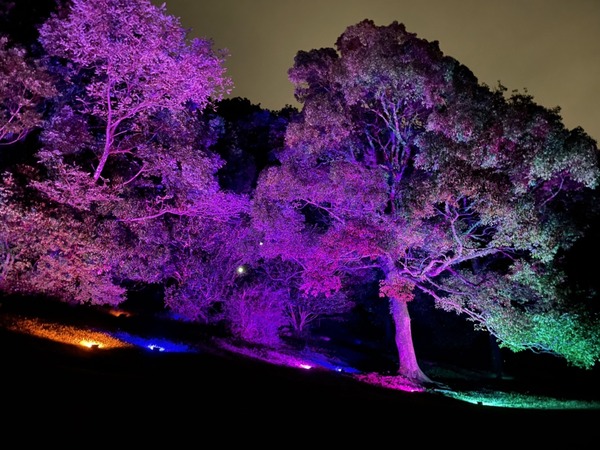 C8402466-4D22-4069-AF7C-0CEF413F6D56