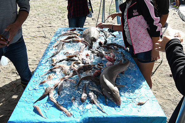 HEdaKnakoukyoukai (6)