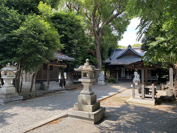 otennno (10)