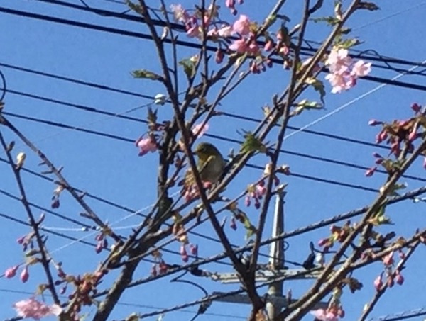 404C2F65-9940-4858-B74C-B6FAB01C3A17