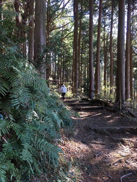 9058C352-63CB-4220-B384-1C097CE68D88