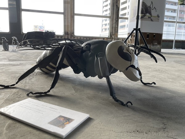 DC6DA175-D695-42F1-9198-7DF028954DF5