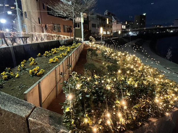 70DBB25E-B14E-45D5-A4B2-49F965538310