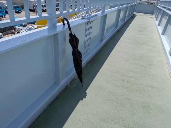 PXL_20250503_034013629