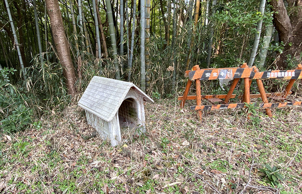 maruyama (6)