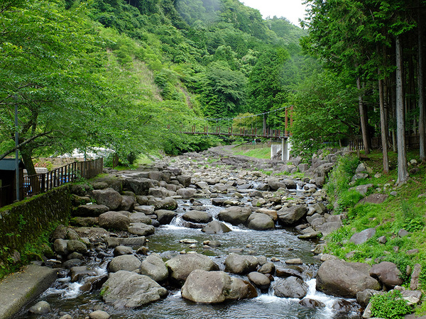 suisei (4)