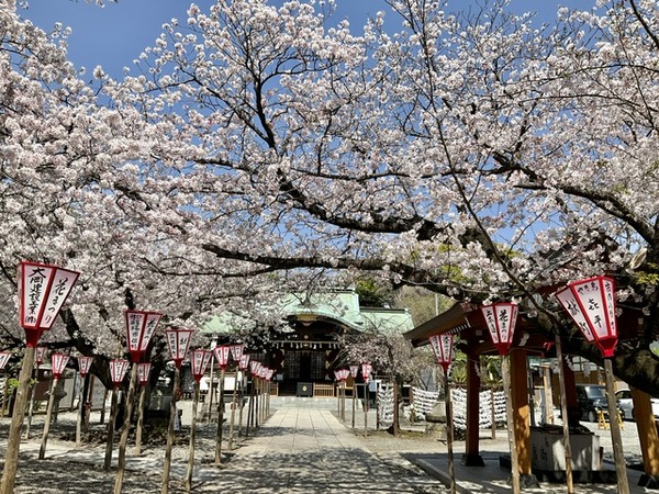 kanukiyama (14)