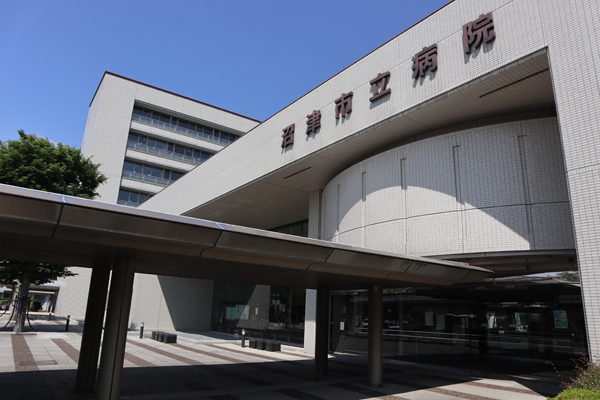 shinsatsu (4)